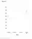 Fig. 07 - METHODS OF INCREASING PRODUCTION OF SECONDARY METABOLITES BY MANIPULATING METABOLIC PATHWAYS THAT INCLUDE METHYLMALONYL-COA