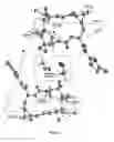 Fig. 03 - Methods for the preparation, isolation and purification of epothilone B, and x-ray crystal structures of epothilone B