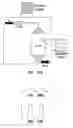 Fig. 20 - DEVICES AND METHODS FOR PHARMACOKINETIC-BASED CELL CULTURE SYSTEM