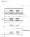Fig. 16 - Method of constructing artificial cell tissue and base material therefor