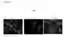 Fig. 07 - AMNIOTIC FLUID DERIVED CELLS