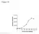 Fig. 11 - AMNIOTIC FLUID DERIVED CELLS