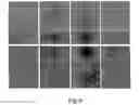 Fig. 06 - Method of culturing cells