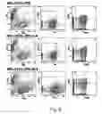 Fig. 08 - Method of culturing cells