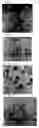 Fig. 02 - Method of treating cells