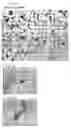 Fig. 05 - Method of treating cells