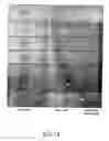 Fig. 19 - System for heat treatment of semiconductor device