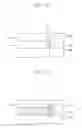 Fig. 09 - METHODS OF FORMING CARBON NANOTUBES IN A WIRING PATTERN AND RELATED DEVICES