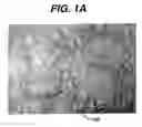 Fig. 02 - Low-density, non-woven structures and methods of making the same