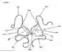 Fig. 08 - Clothing