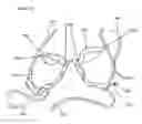 Fig. 09 - Clothing