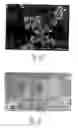 Fig. 03 - Texturing slurry and texturing method by using same