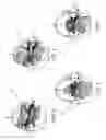 Fig. 04 - Antenna system for enabling diversity and MIMO