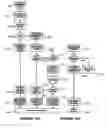 Fig. 11 - System and method for cordless handset registration