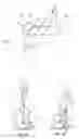 Fig. 03 - Saddle for exercise equipment and exercise equipment using the same