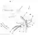 Fig. 01 - Folding blade