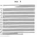 Fig. 05 - Method of selecting novel immunosuppressant