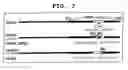 Fig. 08 - Method of selecting novel immunosuppressant