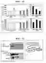 Fig. 10 - Method of selecting novel immunosuppressant