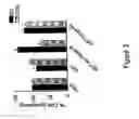 Fig. 04 - Regulator of endothelial cell function and vessel remodeling