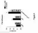 Fig. 05 - Regulator of endothelial cell function and vessel remodeling