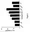 Fig. 07 - Regulator of endothelial cell function and vessel remodeling