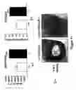Fig. 12 - Regulator of endothelial cell function and vessel remodeling