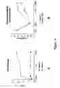Fig. 17 - Regulator of endothelial cell function and vessel remodeling