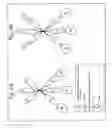 Fig. 07 - Carrier chimeric proteins, targeted carrier chimeric proteins and preparation thereof