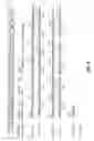Fig. 08 - IL-17 like molecules and uses thereof