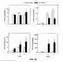 Fig. 28 - IL-17 like molecules and uses thereof