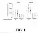 Fig. 02 - Genetically modified mouse lacking diacylglycerol acyltransferase-1 (DGAT-1) activity