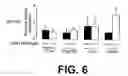 Fig. 07 - Genetically modified mouse lacking diacylglycerol acyltransferase-1 (DGAT-1) activity