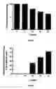 Fig. 02 - Prodrugs of active agents