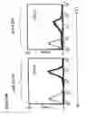 Fig. 07 - Pharmaceutical compositions comprising bispecific anti-cd3, anti-cd19 antibody constructs for the treatment of b-cell related disorders