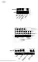Fig. 02 - Chemically modified oligonucleotides for use in modulating micro RNA and uses thereof