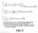Fig. 06 - Chemically modified oligonucleotides for use in modulating micro RNA and uses thereof