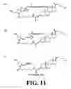 Fig. 12 - Chemically modified oligonucleotides for use in modulating micro RNA and uses thereof