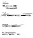 Fig. 03 - Universal target sequences for siRNA gene silencing