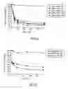 Fig. 04 - Universal target sequences for siRNA gene silencing
