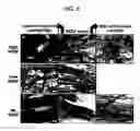 Fig. 08 - Composition for coordinated VEGF and PDGF expression, and methods of use