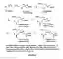 Fig. 07 - Analogs of lysophosphatidic acid and methods of making and using thereof