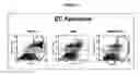 Fig. 03 - Compositions and methods for treatment of inflammatory bowel disease