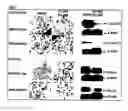 Fig. 07 - Platinum IV complex inhibitor