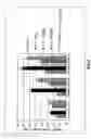 Fig. 02 - Propionamide derivatives useful as androgen receptor modulators
