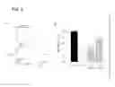Fig. 06 - Treatment with Sigma Receptor Agonists Post-Stroke