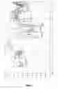 Fig. 03 - Donepezil Hydrochloride Form VI