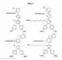 Fig. 02 - 4,5-bis(4-methoxyphenyl)imidizole compound inducing differentiation of myoblasts or muscle fibers and pharmaceutical compositions including said compound