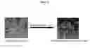 Fig. 03 - 4,5-bis(4-methoxyphenyl)imidizole compound inducing differentiation of myoblasts or muscle fibers and pharmaceutical compositions including said compound