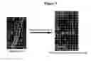 Fig. 04 - 4,5-bis(4-methoxyphenyl)imidizole compound inducing differentiation of myoblasts or muscle fibers and pharmaceutical compositions including said compound